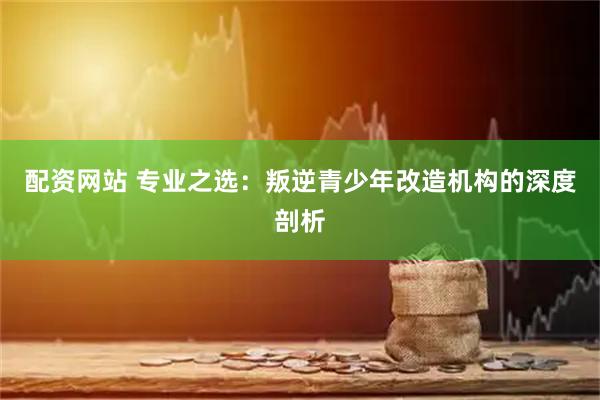 配资网站 专业之选：叛逆青少年改造机构的深度剖析