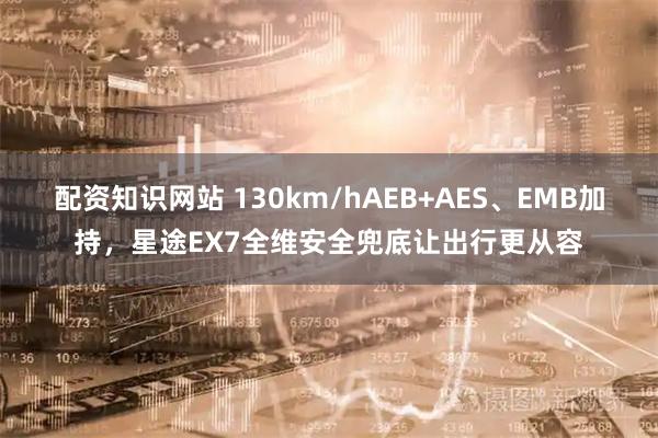 配资知识网站 130km/hAEB+AES、EMB加持，星途EX7全维安全兜底让出行更从容